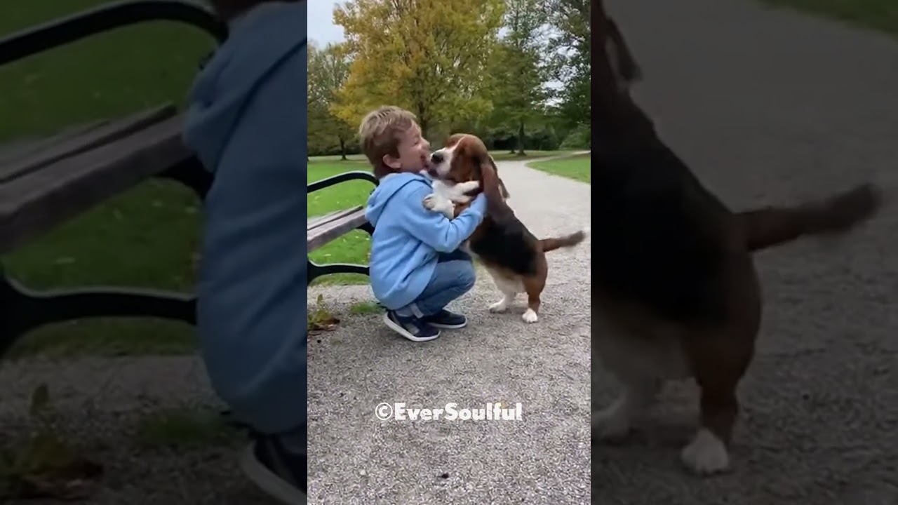 They Never Miss Their Daily Meeting ❤️