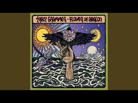 Any Way I Do - Tracy Grammer