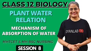 Class 12 | Plant Water Relation | Mechanism of Absorption of Water | Gyanlab Anjali Patel