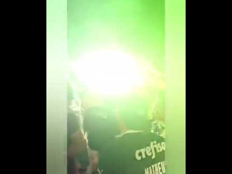 Funk do Hendeca (Palmeiras 11 vezes campeão.-Marlon Goes.