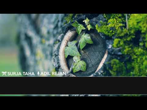 Adil Rejan Surja Nr.20 (Ta Ha) me përkthim shqip