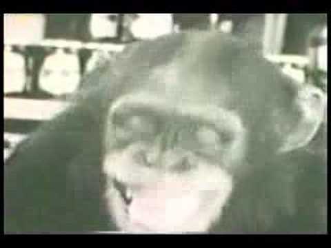 Evil monkey peanut butter jelly song