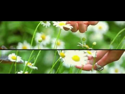 Rosewood 2055 "Topless" produced by Statik Selektah