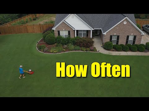 YouTube video about Mow Your Lawn Wisely: Avoid the Hottest Part of the Day