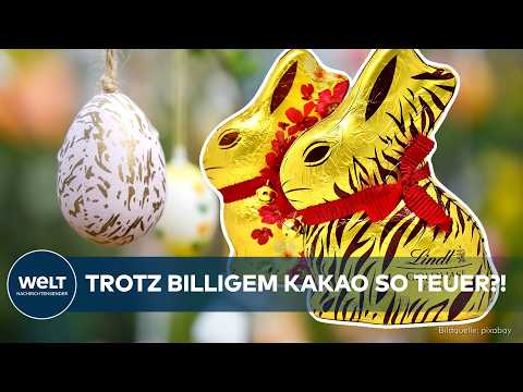 Video Thumbnail: DEUTSCHLAND: Süße Täuschung? Oster-Schokolade wird zum Luxus – trotz fallender Kakaopreise