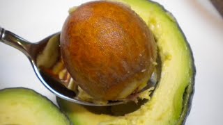 Du wirst Avocadokerne niemals wegwerfen, nachdem du diese Video gesehen hast