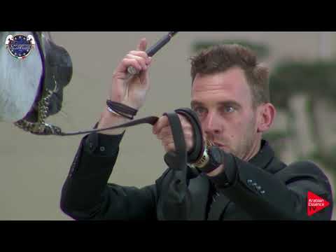 N.112 FAZIT-B - European Championship 2019 - 7-9 Years Old Stallions (Class 14)