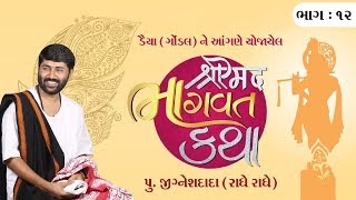 || શ્રીમદ ભાગવત કથા || Pu. Jigneshdada (Radhe Radhe) || Daiya, Gondal || Part - 12