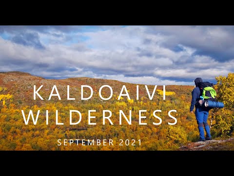 AUTUMN COLORS in wind-swept KALDOAIVI wilderness[2021][4K]