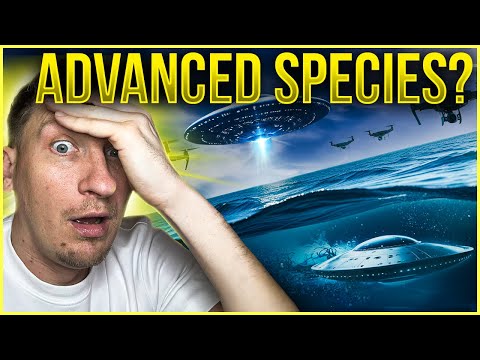  New Jersey Drones Back! Shapeshifting Orbs And Super-Speed Underwater Beings? 