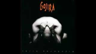 Gojira - Blow Me Away You(niverse)