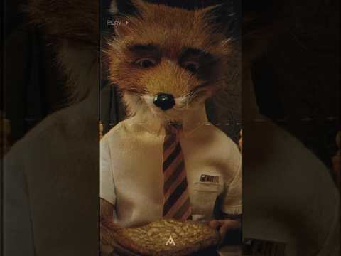 I DON’T WANT TO LIVE IN A HOLE ANYMORE - Fantastic Mr. Fox