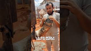 É assim que ele limpa o cano sujo de Concreto! #shorts