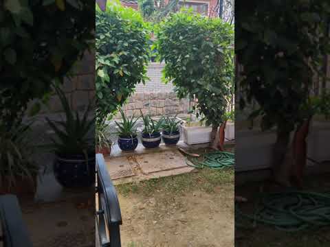 Karan Singh love in life