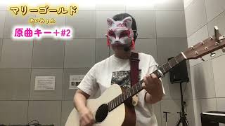 マリーゴールド　原曲キー+#2  ギター弾き語り　