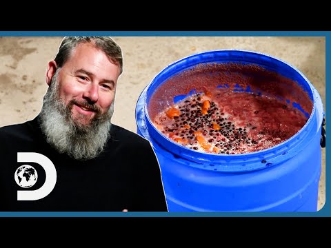 Distiller Whips Up A Tasty Blueberry & Plum Moonshine! | Moonshiners: Master Distiller