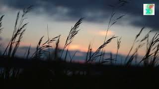 Download lagu Wind Sound SOUND EFFECT - No Copyright[Download Free] mp3