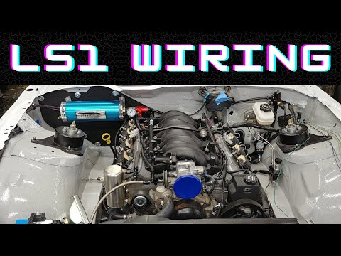 How to Setup a LS1 PSI Standalone Harness (82-92 Camaro/Firebird)