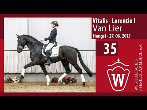 35 Van Lier  Hengst v. Vitalis - Lorentin I