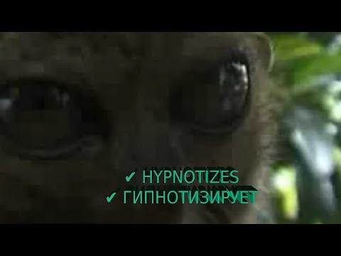 Я ВАС ГИПНОТИЗИРУЮ ✔ HYPNOTIZES ✔ГИПНОТИЗИРУЕТ