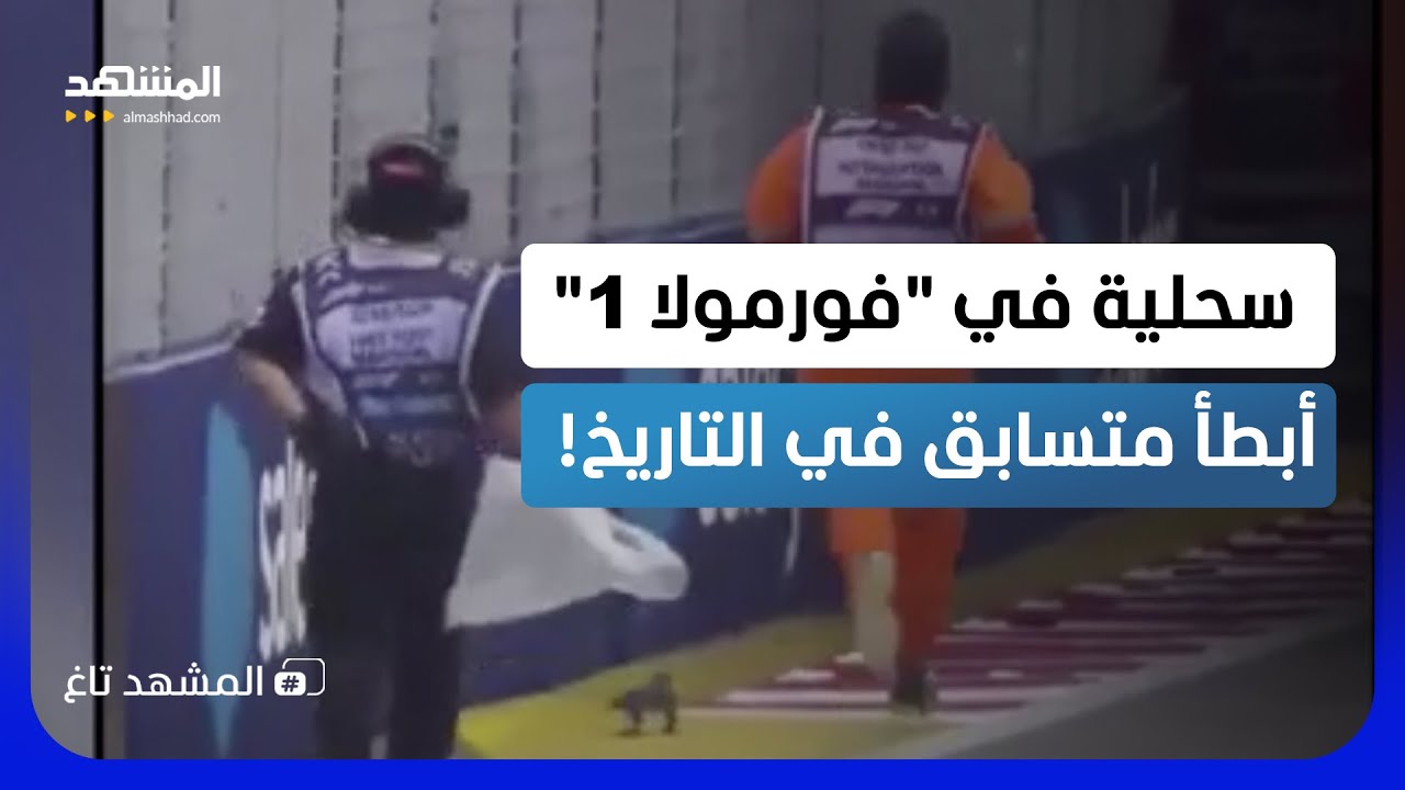 سحلية تسابق في "فورمولا 1".. والمنظمون يسجلون "توقيت لفتها"!  - المشهد تاغ