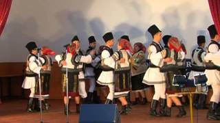 preview picture of video 'Paltinasul Bucovinean din Paltinoasa'