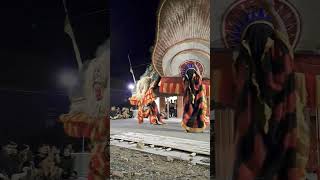 Download lagu REOG PONOROGO HOREG mp3