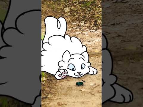 Dust paw as a kit. (Warrior cats animation) :bluey