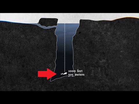 Inside The Shawzzz Leak A Deep Dive