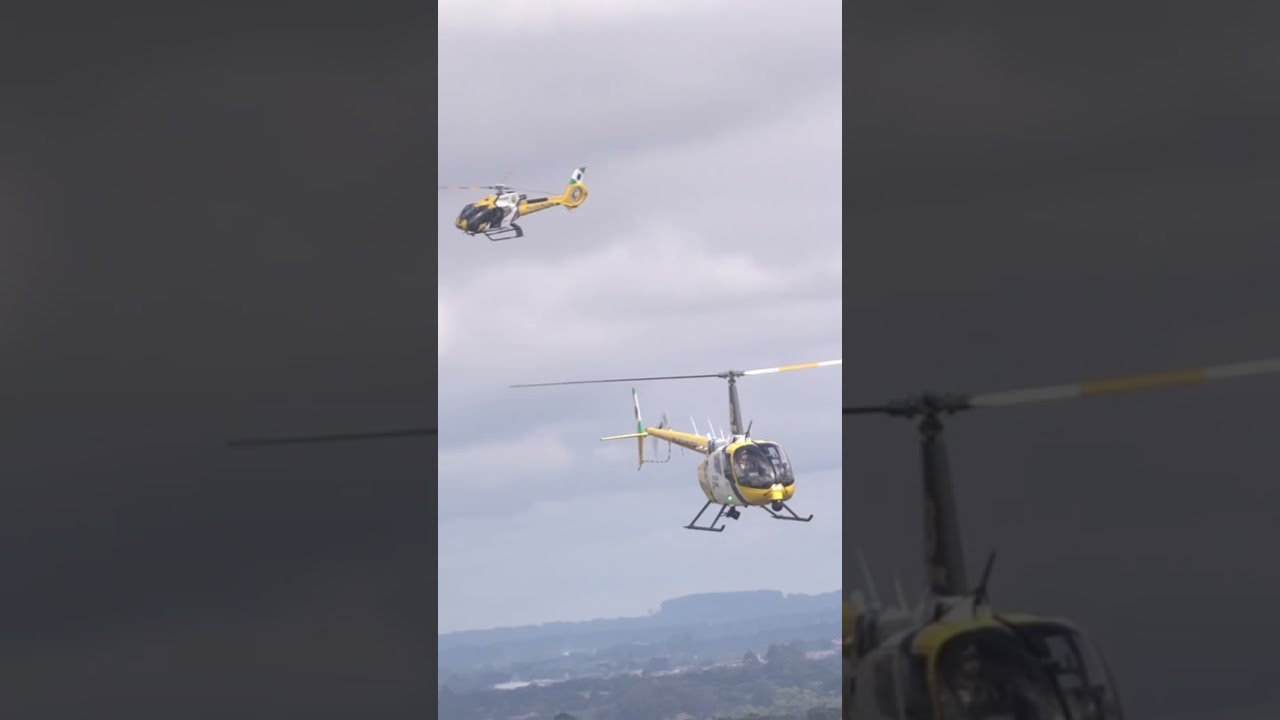 Um ano de operação do Projeto Falcão 🚁