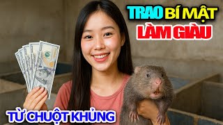 Sharing the Secret of Raising Peach-Cheeked Rats to Help Farmers Earn a Lot of Money Each Crop/ T...