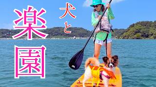 疲れてたから犬とSUPして、いやされた【海辺で犬と暮らす女】