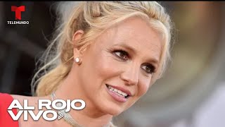 Diputados piden llevar el caso de la tutela de Britney Spears al Congreso