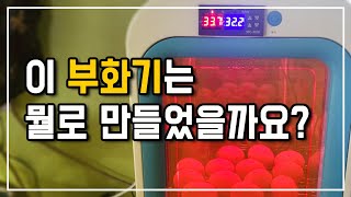 이걸로도 부화기를 만들 수  있다니 이제 닭의 무한 번식이 시작 됐어요 닭장을 가득 채워 봐야지