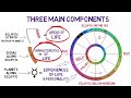 How To Read A Birth Chart In Minutes