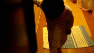 Download lagu 20081107 mp3 Download lagu 20081107 mp3