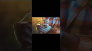 Shai Hills Snail Farm Commercial