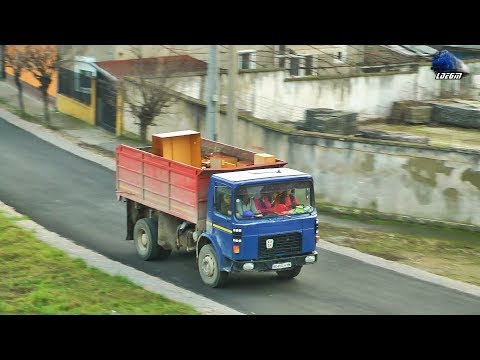 Raba Roman Diesel Truck & AM Sageata-Albastra DMU pe Seara/on Evening in Oradea Est Triaj