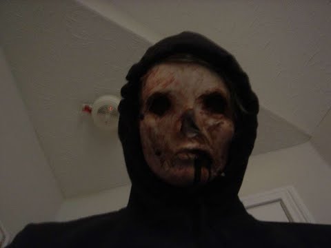 Fear and hunger harvestman death scene (real)