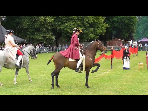 A.R.E.S. (Artillerie, Ruiterij & Soldaten) baroque horses Louis XVI