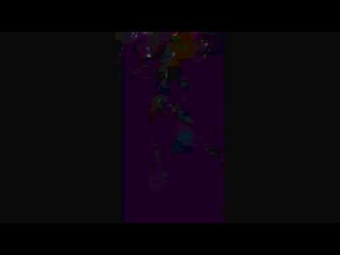 Bucurică petrecere Muntele Mic