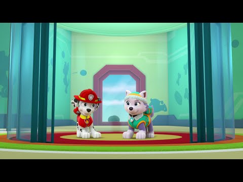 Marshall Opts To Take The Slide Instead - Paw Patrol