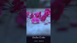 Download lagu Rasaali song WhatsApp status video | Ar rahman song | simbu | Leo_Bgmz mp3 Download lagu Rasaali song WhatsApp status video | Ar rahman song | simbu | Leo_Bgmz mp3