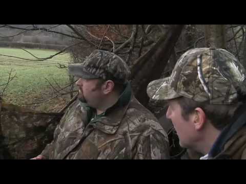 How to shoot pigeons over rape How to shoot pigeons over rape