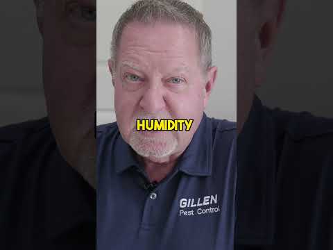 If you DO These 7 Things How Can Roaches Survive?