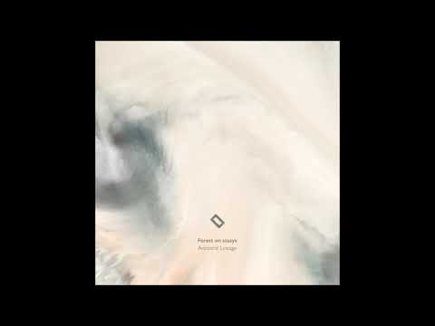Forest On Stasys - The Message [LLESS024]