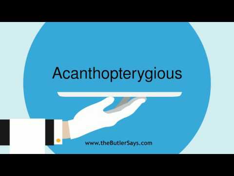 Learn how to say this word: "Acanthopterygious"
