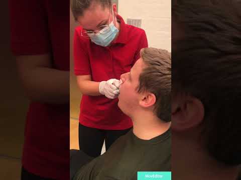 Aftryk+udstøbning+vitalitetstest