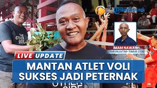 Eks Atlet Voli Jember Sukses Budidaya Kambing Dijuluki Raja Domba Indonesia, Untung Jutaan per Bulan
