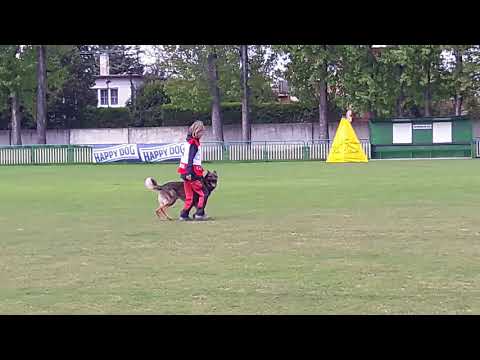 Chan Anatanup ipo1 C  Tomasov 2017